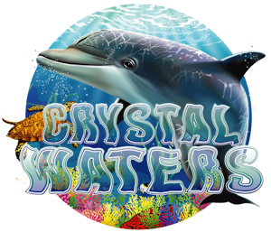 Crystal Waters