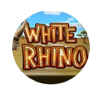 White Rhino